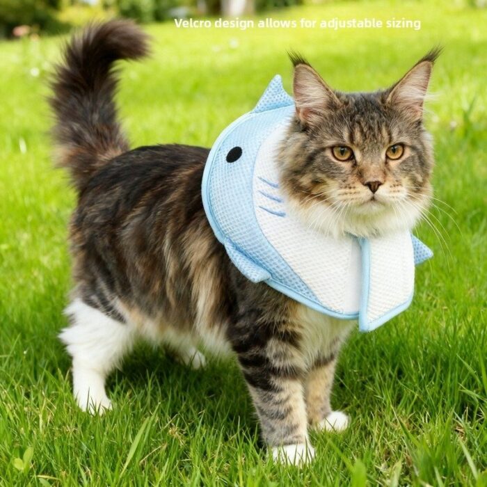 Product Name: Pet Recovery Collar for Dogs & Cats,...