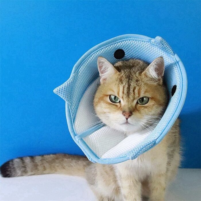 Product Name: Pet Recovery Collar for Dogs & Cats,...