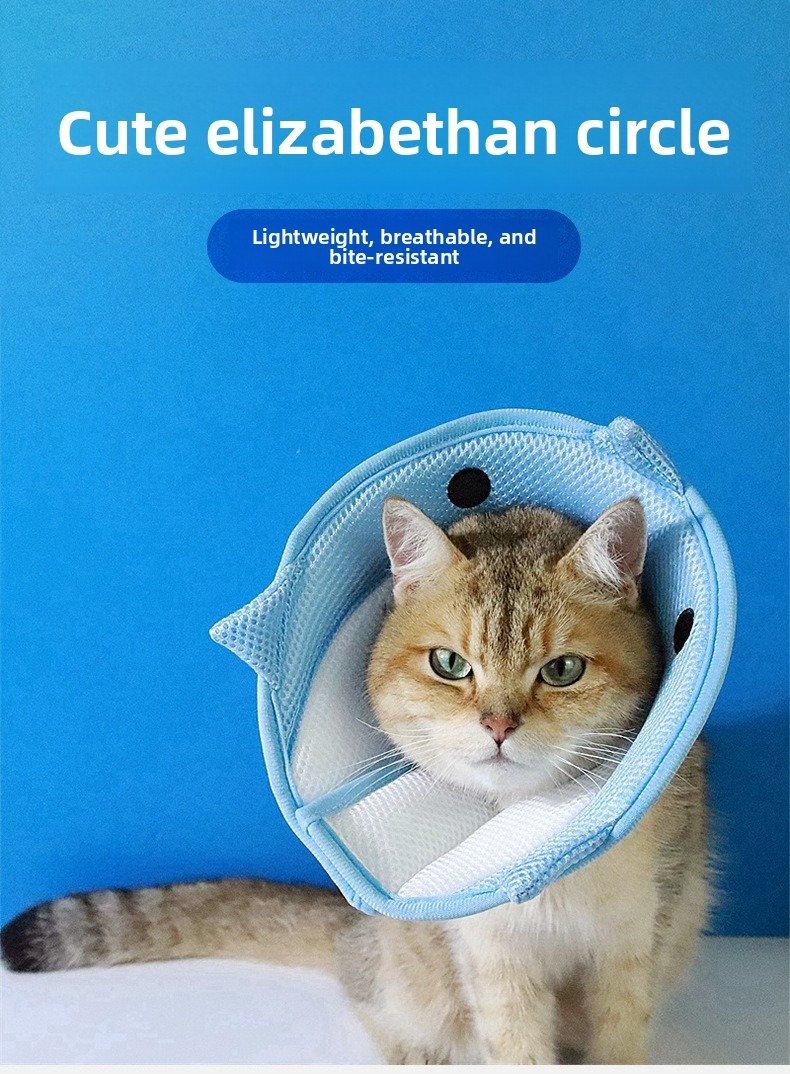Product Name: Pet Recovery Collar for Dogs & Cats,...