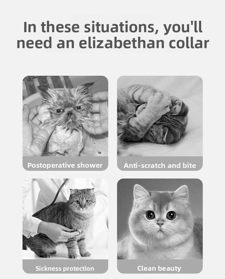 Product Name: Pet Recovery Collar for Dogs & Cats,...