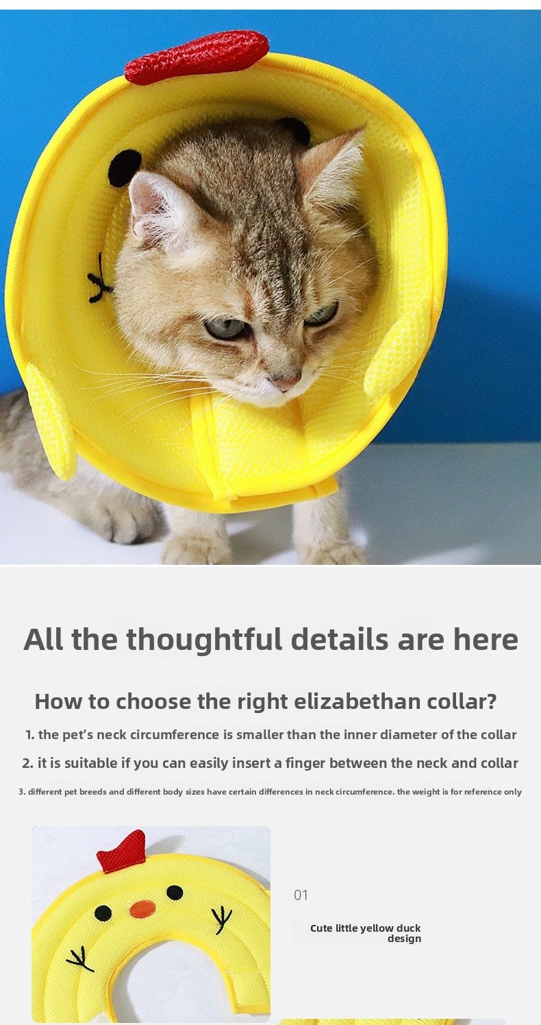 Product Name: Pet Recovery Collar for Dogs & Cats,...