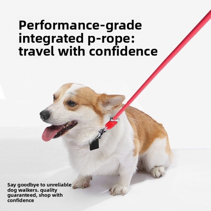 Dog Leash with Crossbody Strap, Hands-Free P-Chain...