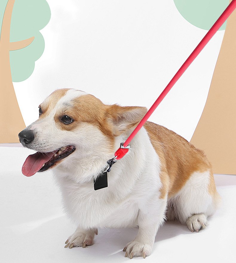 Dog Leash with Crossbody Strap, Hands-Free P-Chain...