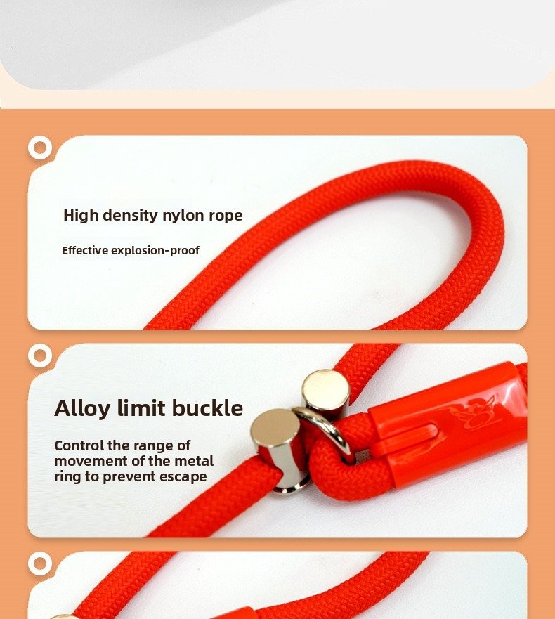 Dog Leash with Crossbody Strap, Hands-Free P-Chain...