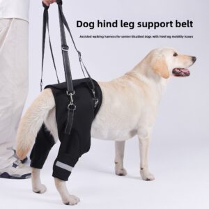 Product Name: Dog Rear Leg Support Harness for Senior Dogs