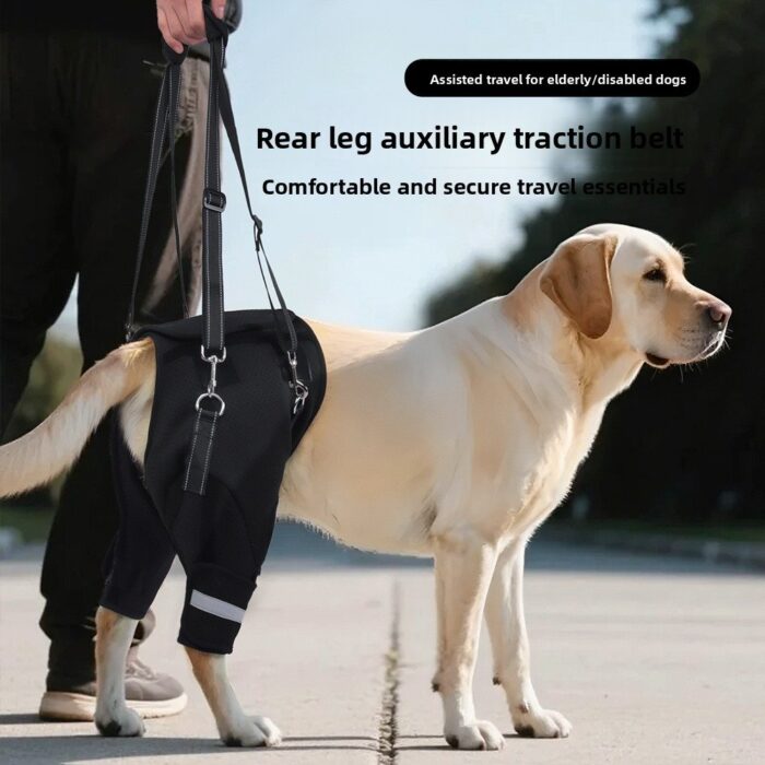 Product Name: Dog Rear Leg Support Harness for Senior Dogs