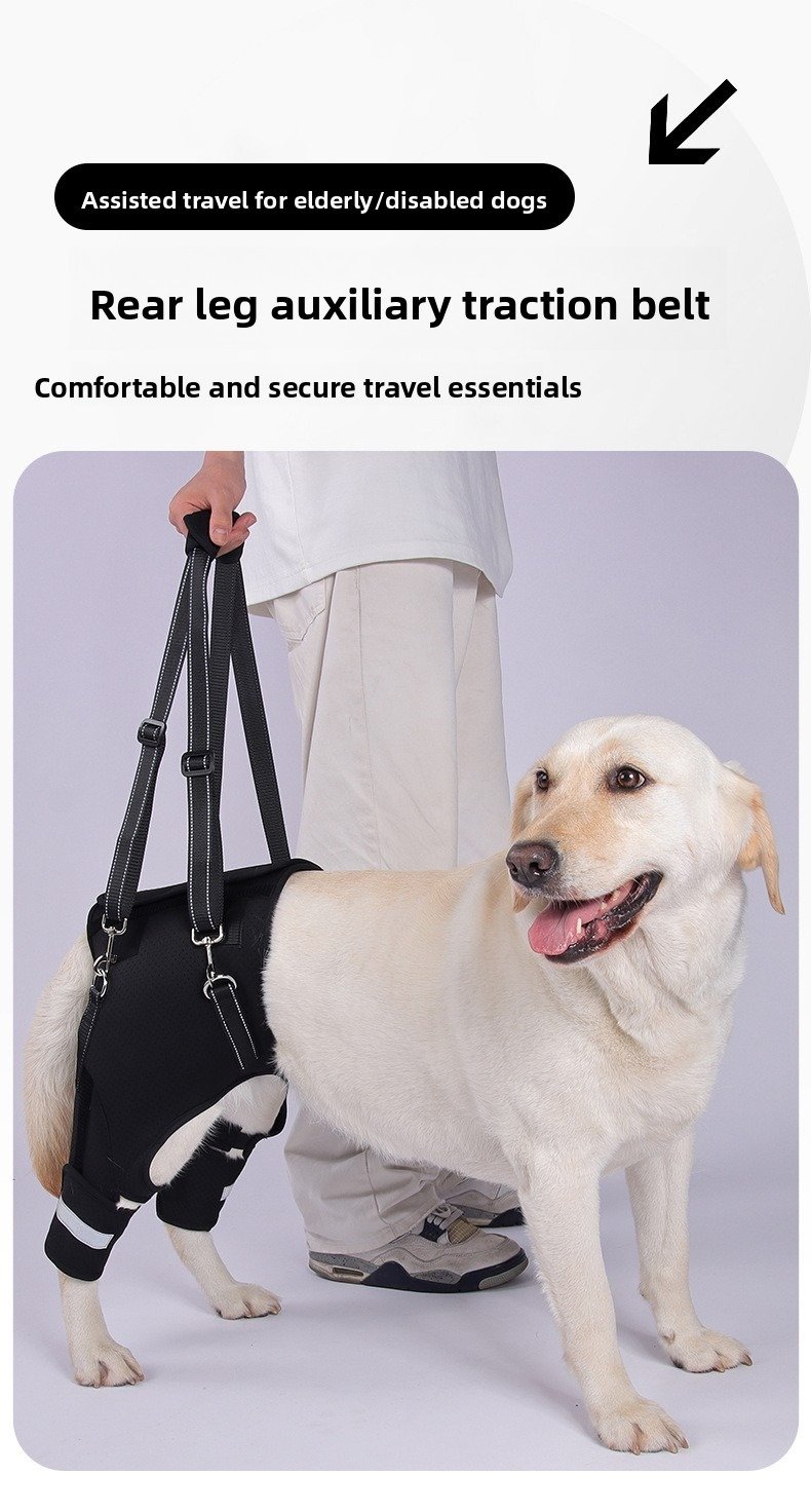 Product Name: Dog Rear Leg Support Harness for Senior Dogs
