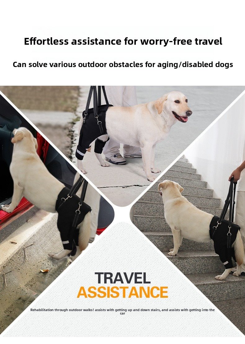 Product Name: Dog Rear Leg Support Harness for Senior Dogs