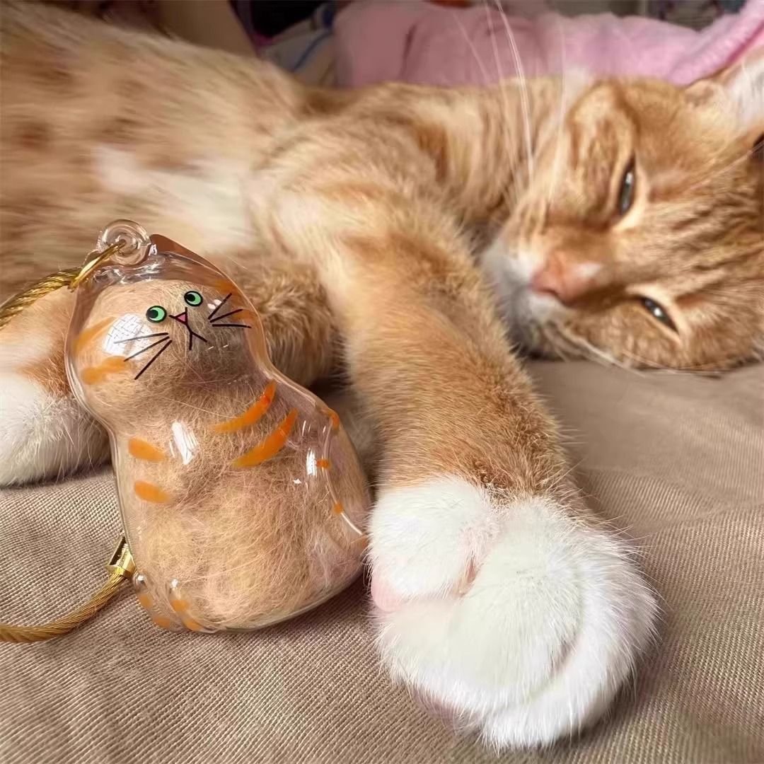 Product Name: Cat Fur Keepsake Pendant Capsule Memorial...