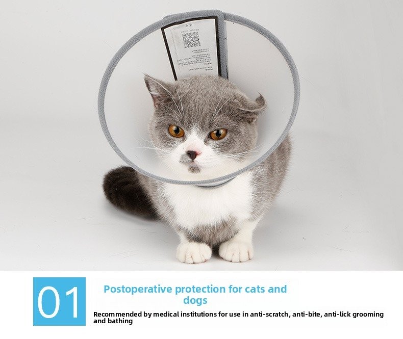 Product Name: Pet Recovery Collar for Dogs & Cats,...