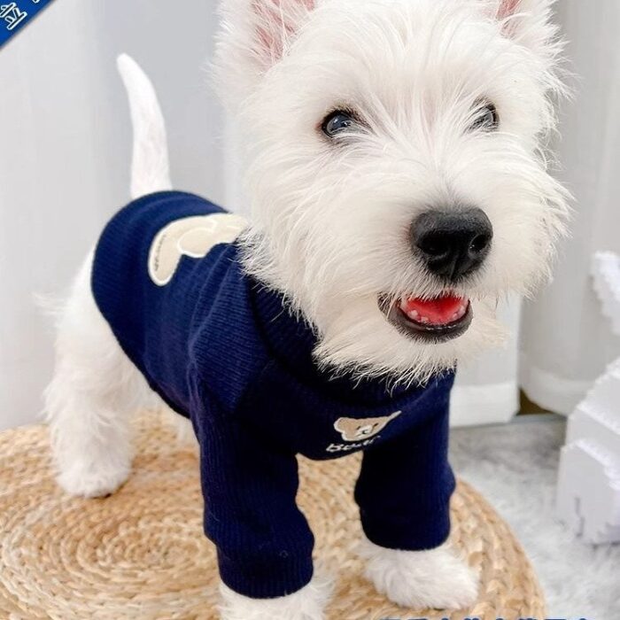 Pet Memorial Necklace: Cute Bear Fall & Winter Warm Hoodie