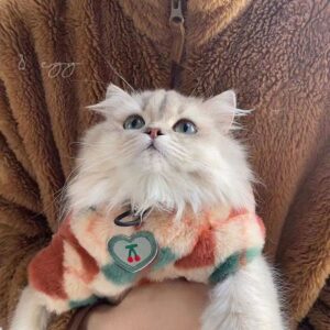 Product Name: Cat Hoodie, Warm Fleece-Lined Fall & Pet