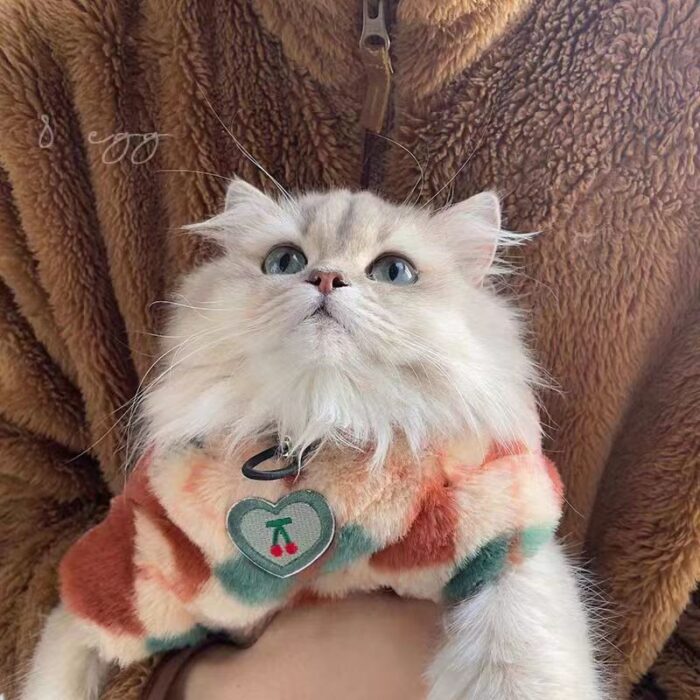 Product Name: Cat Hoodie, Warm Fleece-Lined Fall & Pet