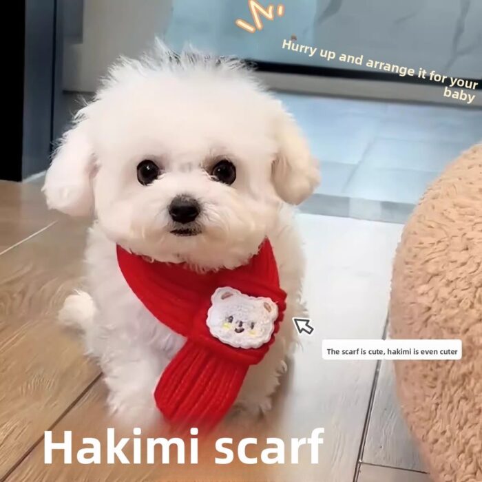 Product Name: Pet Memorial Necklace