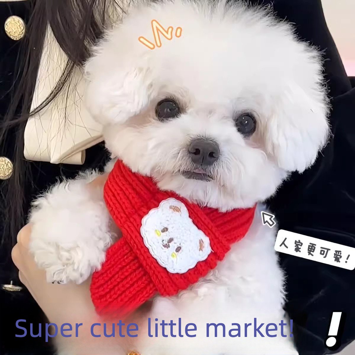 Product Name: Pet Memorial Necklace