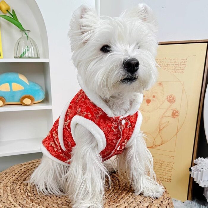 Pet Memorial Necklace: Dog Hoodie Winter Warm...