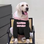 Pink Fleece-Lined Dog Winter Hoodie, Warm Sweater for Large Dogs