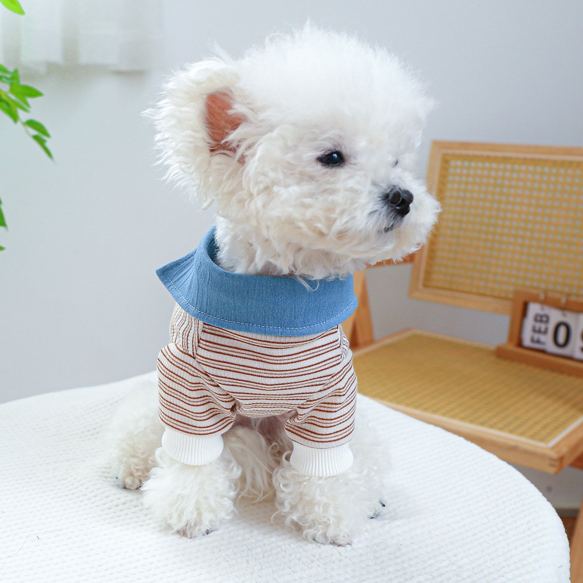 Pet Hoodie for Small Dogs Embroidered Cat Design