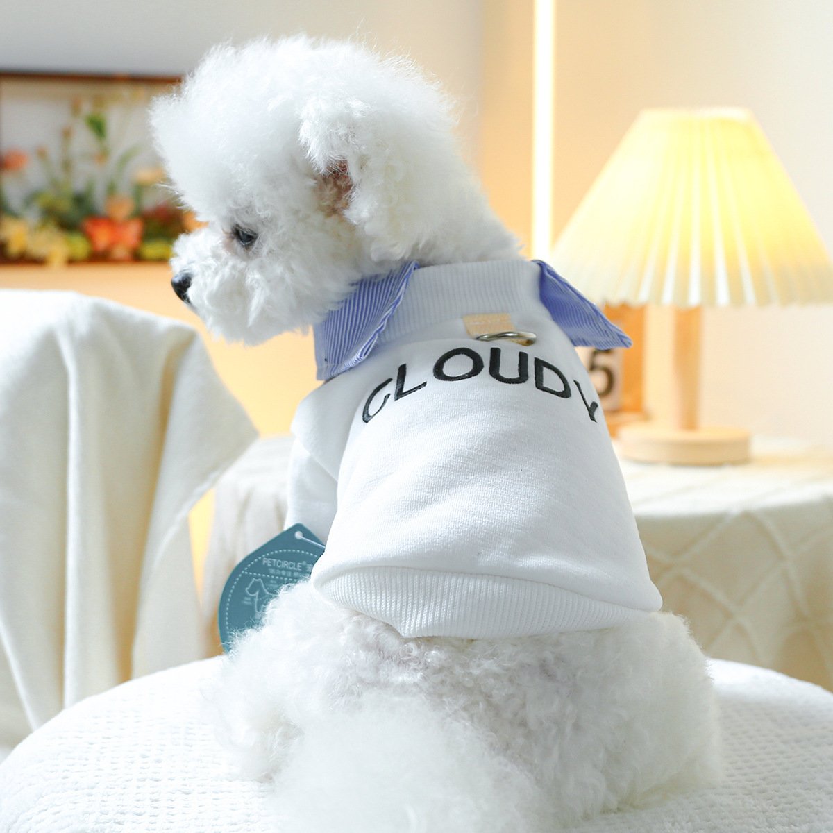 Pet Hoodie for Small Dogs Embroidered Cat Design