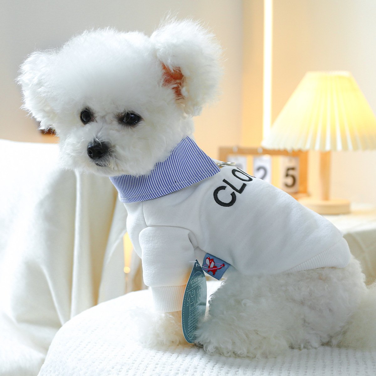 Pet Hoodie for Small Dogs Embroidered Cat Design
