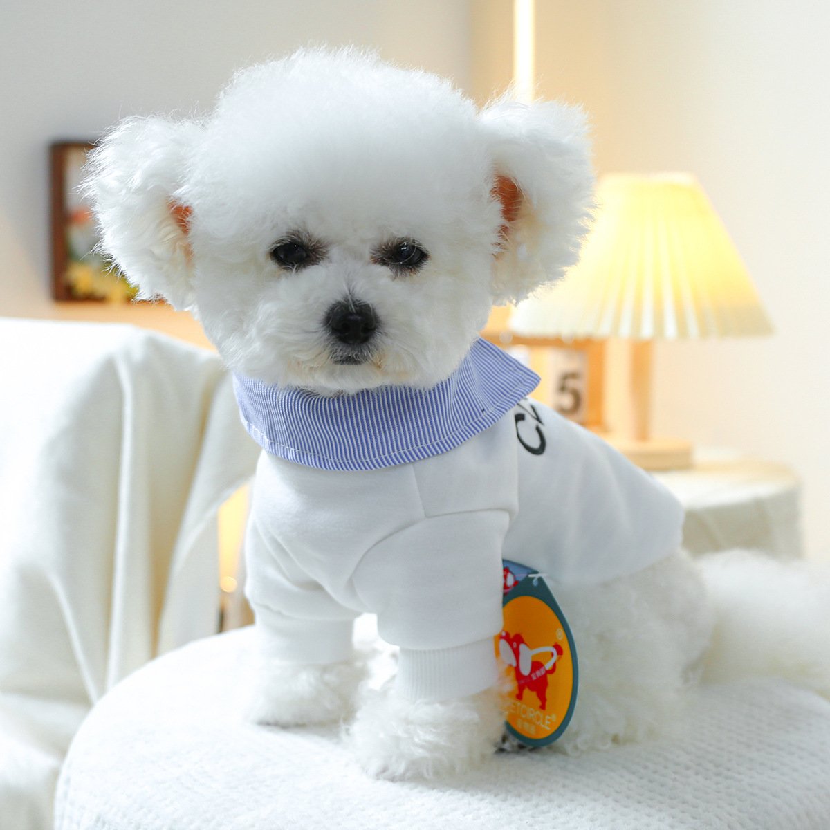 Pet Hoodie for Small Dogs Embroidered Cat Design