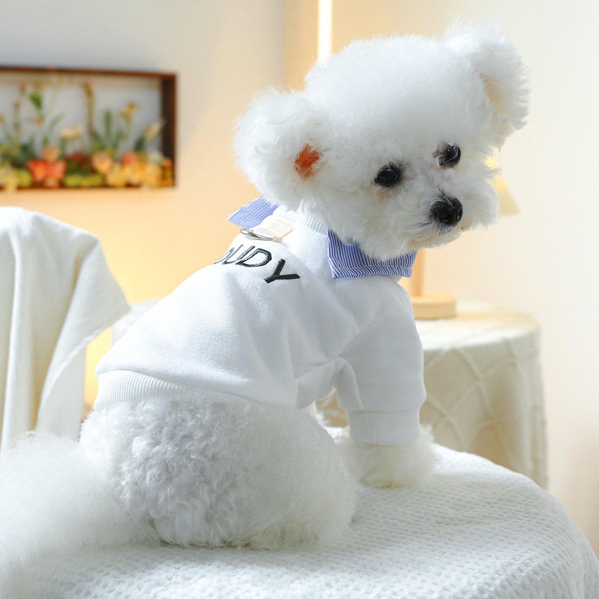Pet Hoodie for Small Dogs Embroidered Cat Design