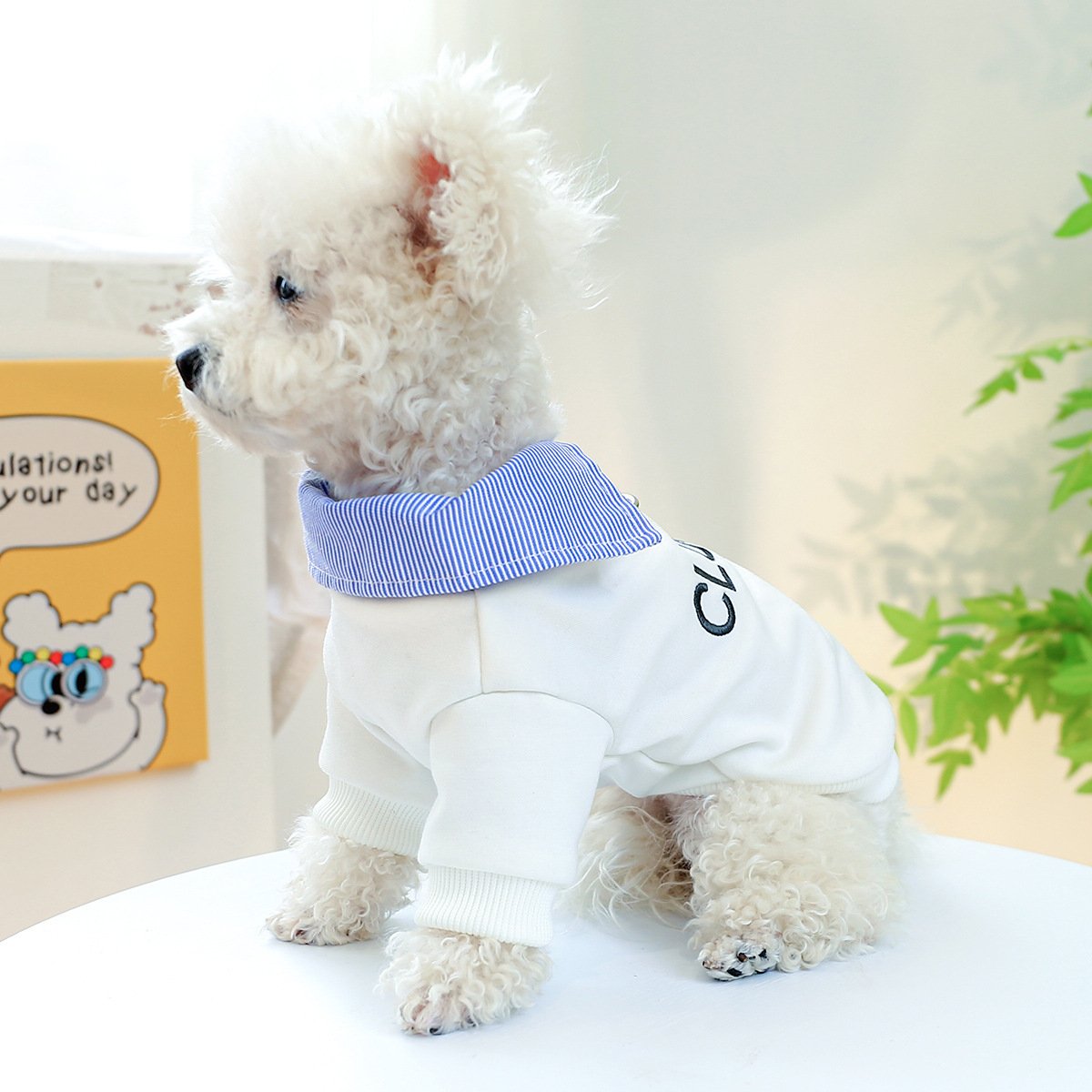 Pet Hoodie for Small Dogs Embroidered Cat Design