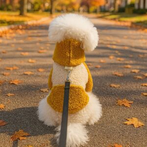 Dog Hoodie, Warm Fleece-Lined Fall &