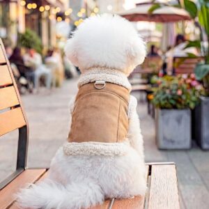 Dog Hoodie, Warm Fleece-Lined Fall &