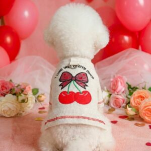 Pet Hoodie for Small Dogs & Cats -