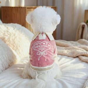 Pet Hoodie for Small Dogs & Cats -