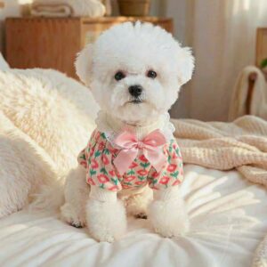 Pet Hoodie for Small Dogs & Cats -