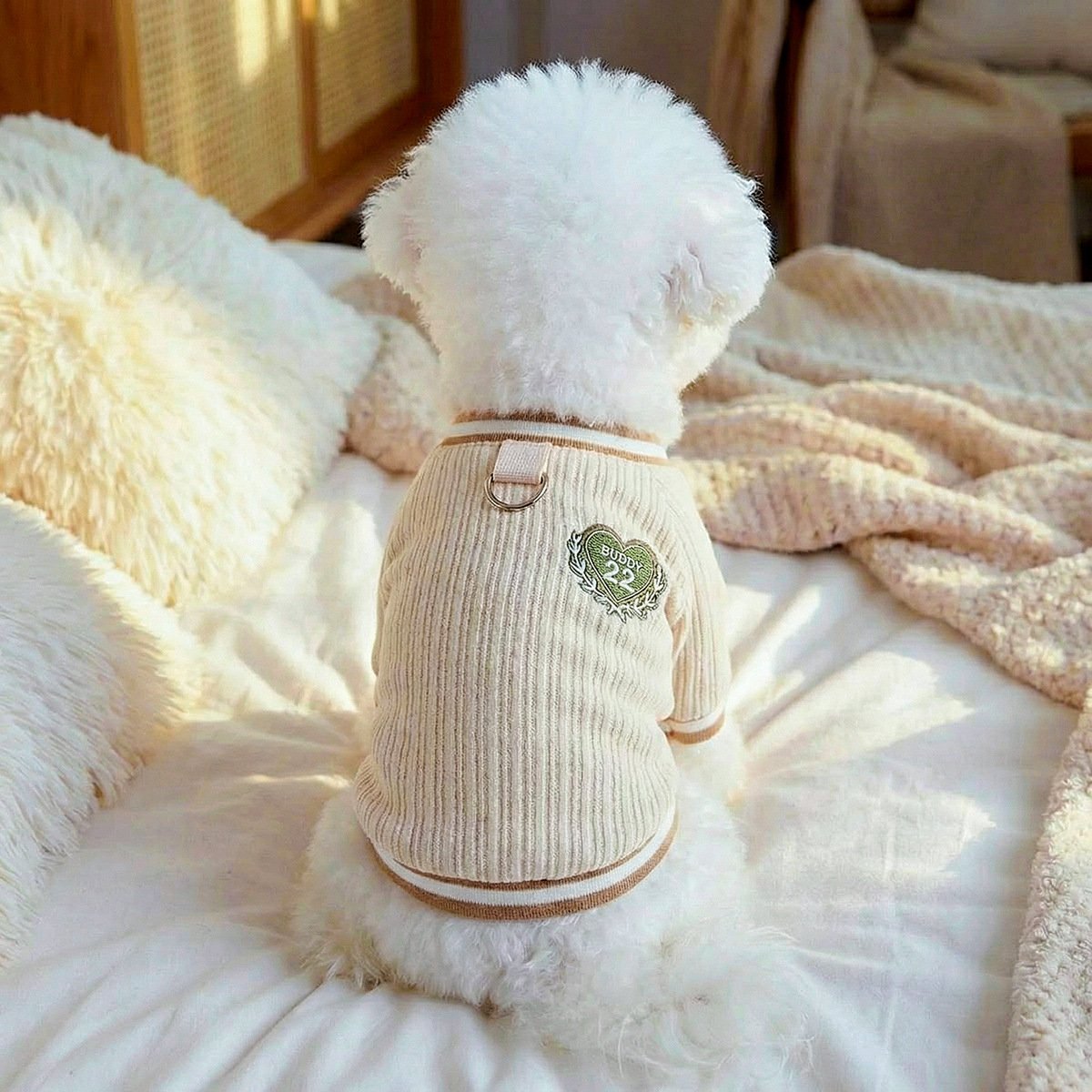 Product Name: Pet Hoodie for Small Dogs & Cats -...