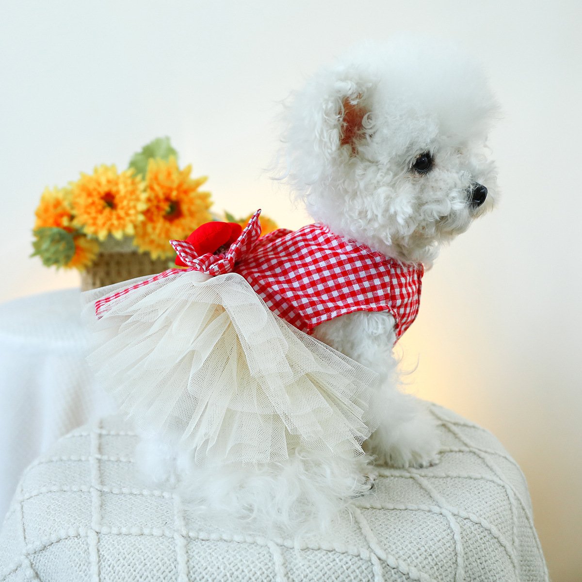 Product Name: Pet Memorial Necklace - Heart-Shaped...