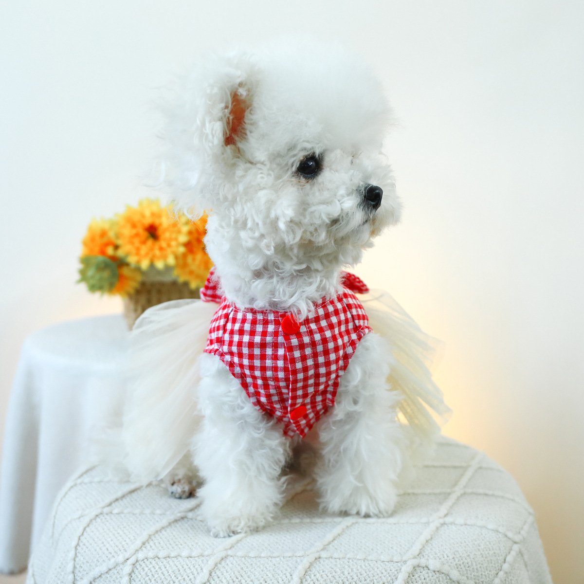 Product Name: Pet Memorial Necklace - Heart-Shaped...