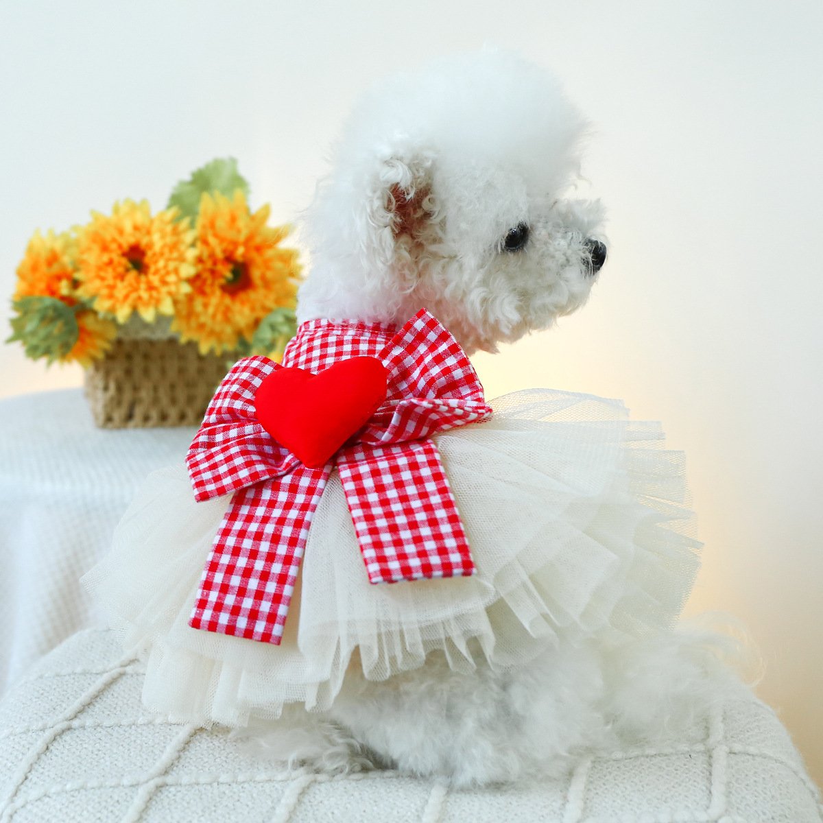 Product Name: Pet Memorial Necklace - Heart-Shaped...