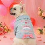 Little Princess Denim Jacket for Dogs