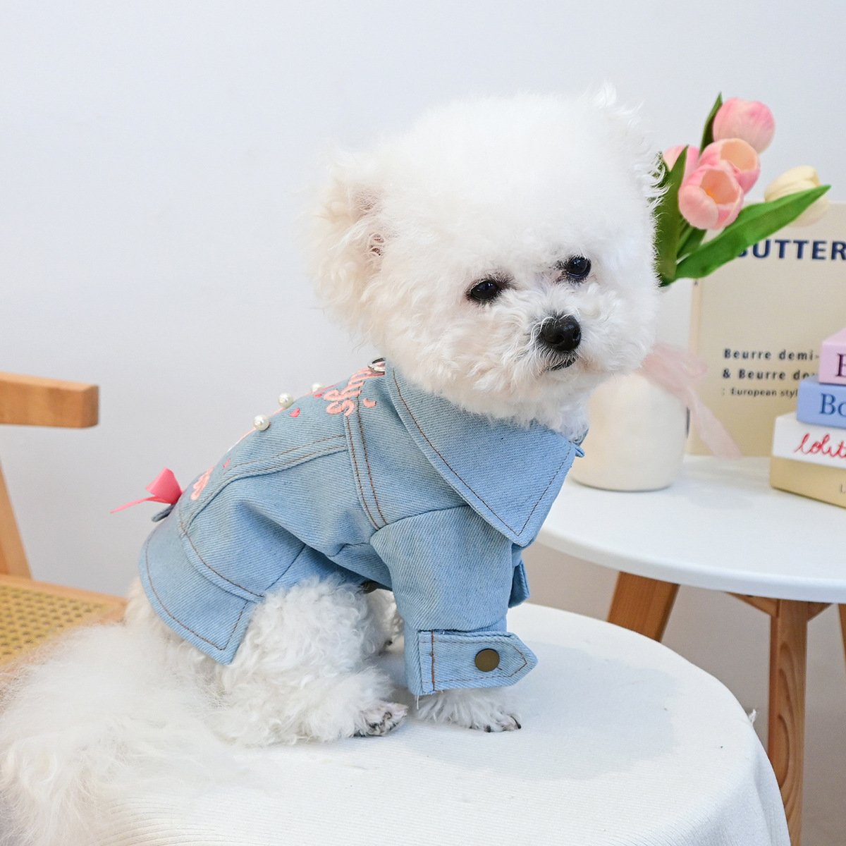 Product Name: Pet Memorial Necklace
