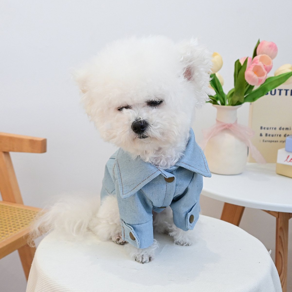 Product Name: Pet Memorial Necklace