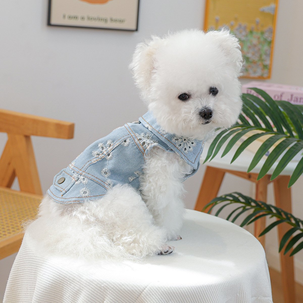 Product Name: Pet Hoodie for Dogs and Cats, Rock Denim Style