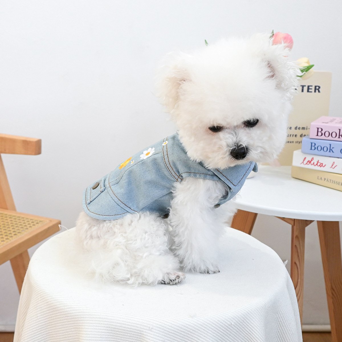 Product Name: Pet Memorial Necklace
