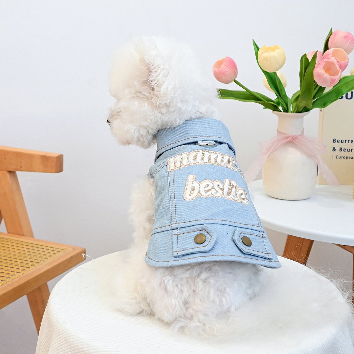Product Name: Pet Memorial Necklace
