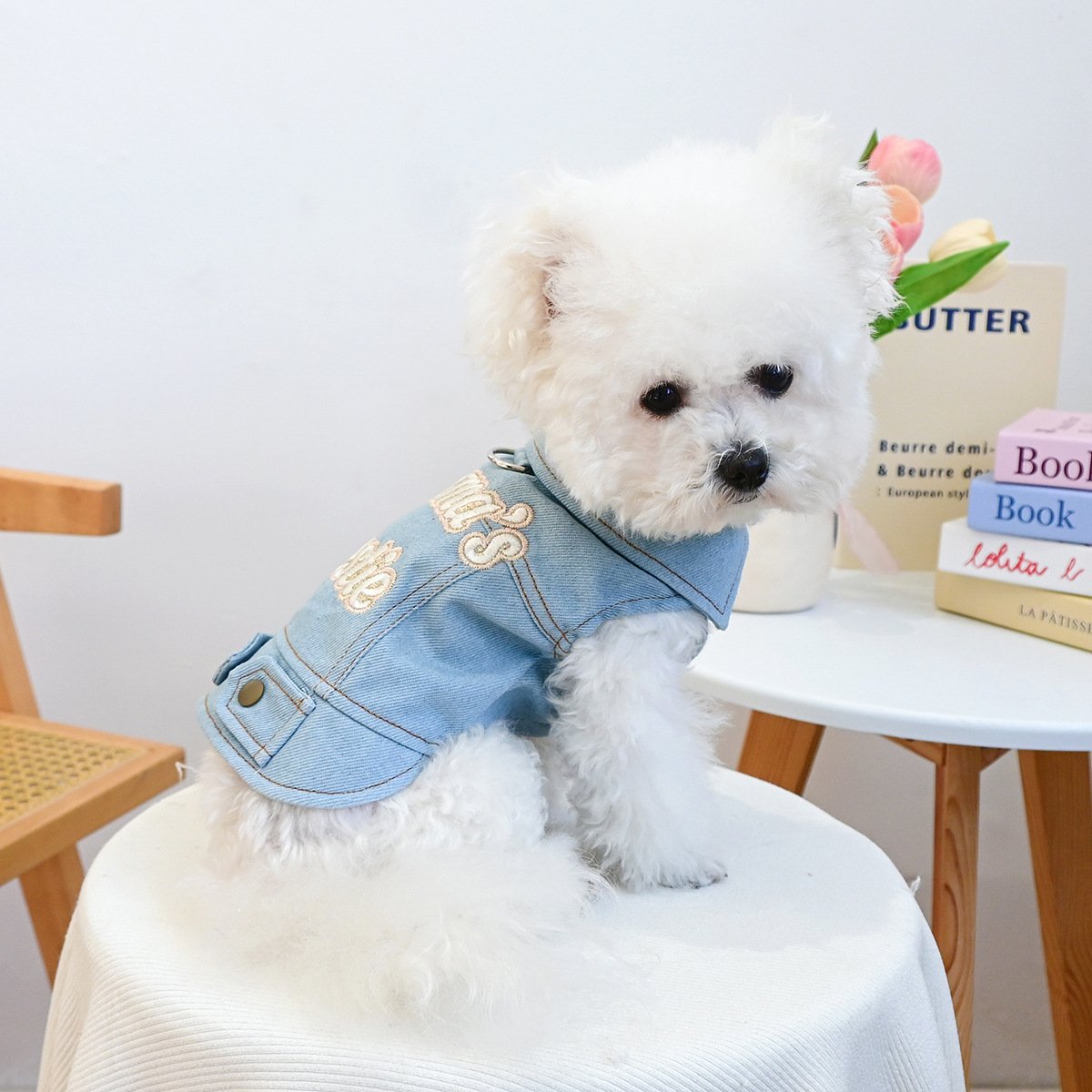 Product Name: Pet Memorial Necklace