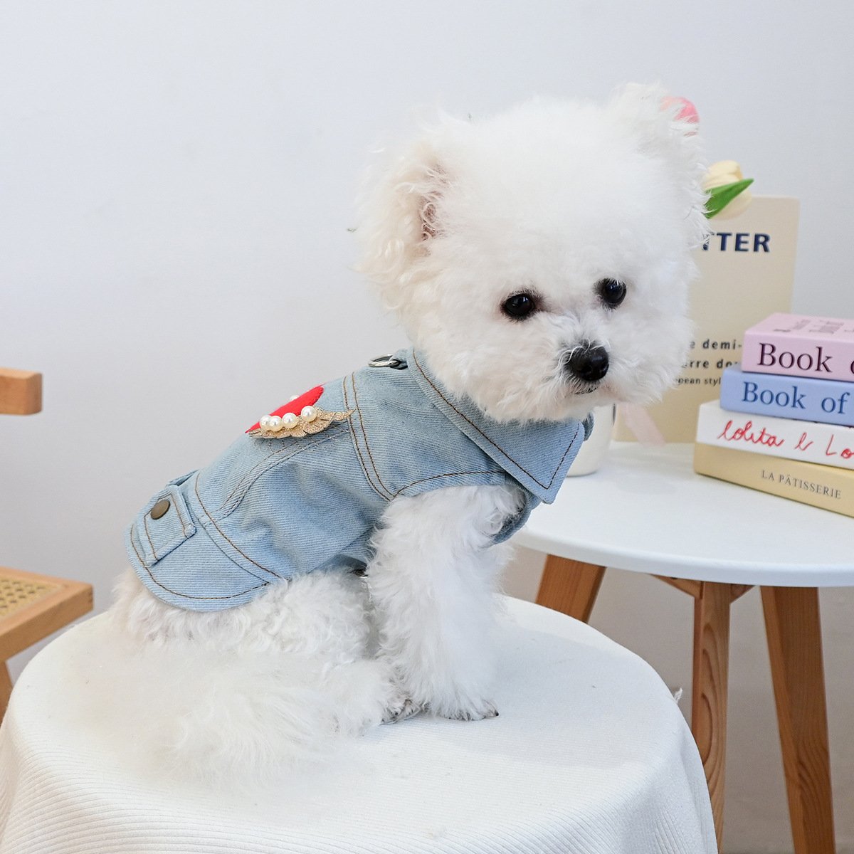 Product Name: Pet Memorial Necklace