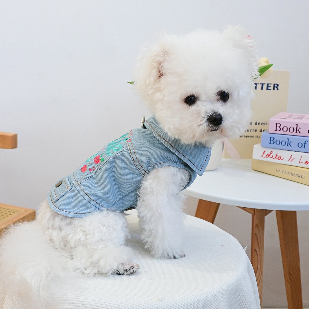 Product Name: Pet Memorial Necklace