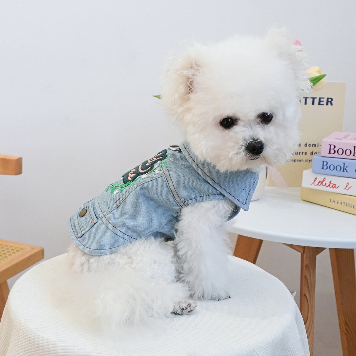 Product Name: Pet Memorial Necklace