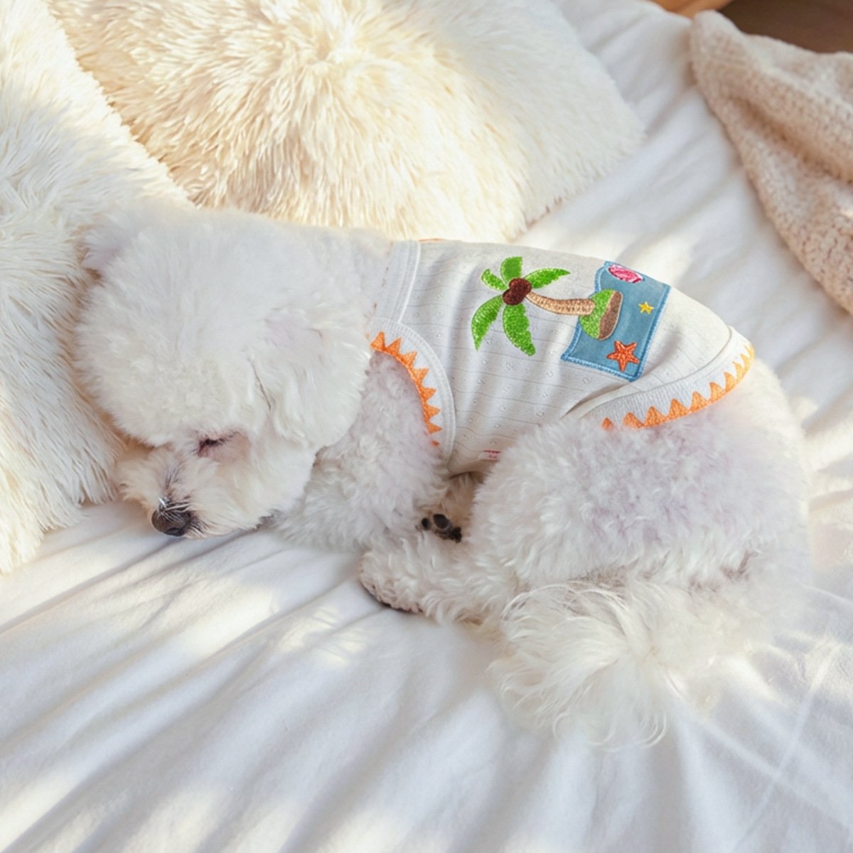 PETCIRCLE Dog & Cat Comfort Bora Bora Palm Small Dog