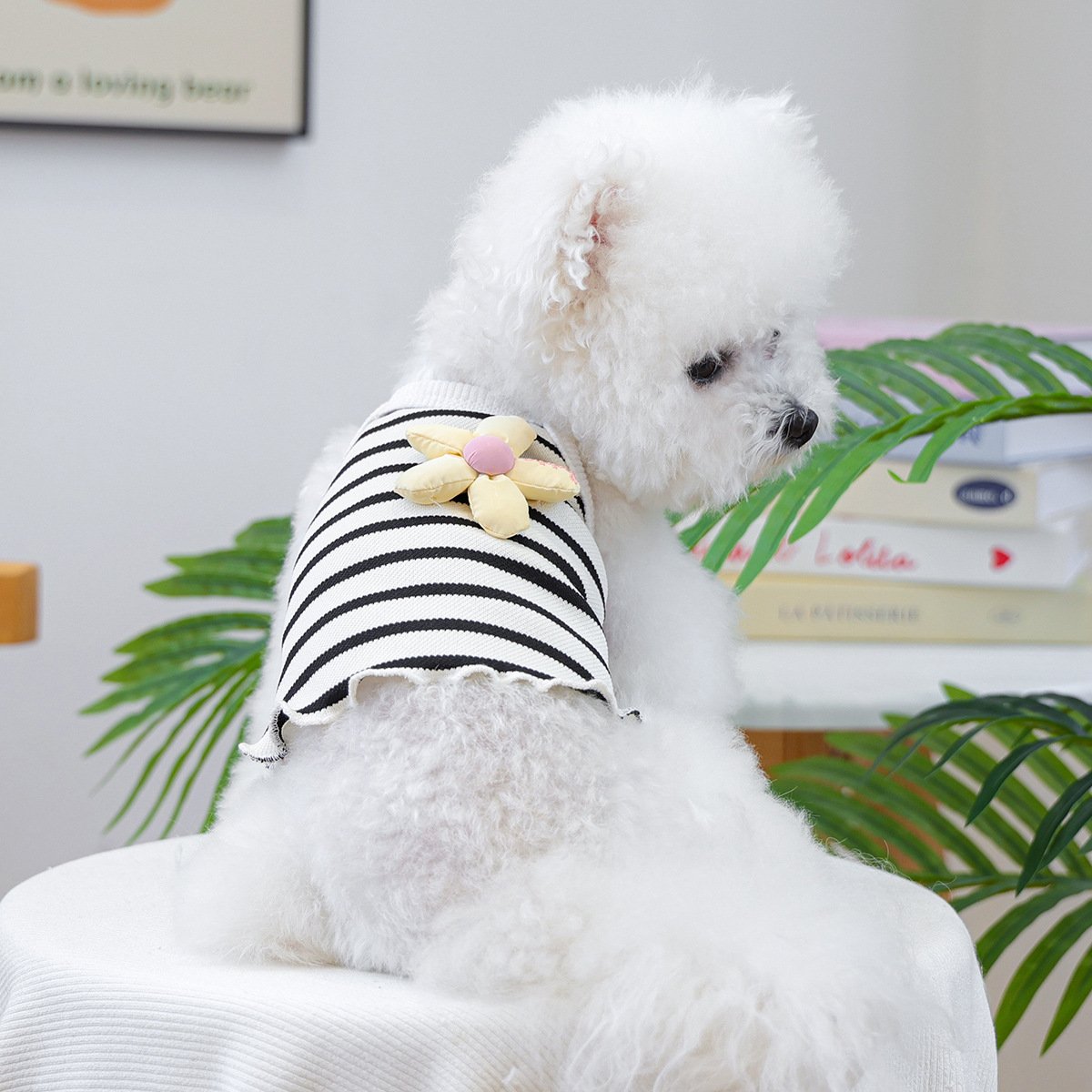 PETCIRCLE Dog & Cat Comfort Bora Bora Palm Small Dog