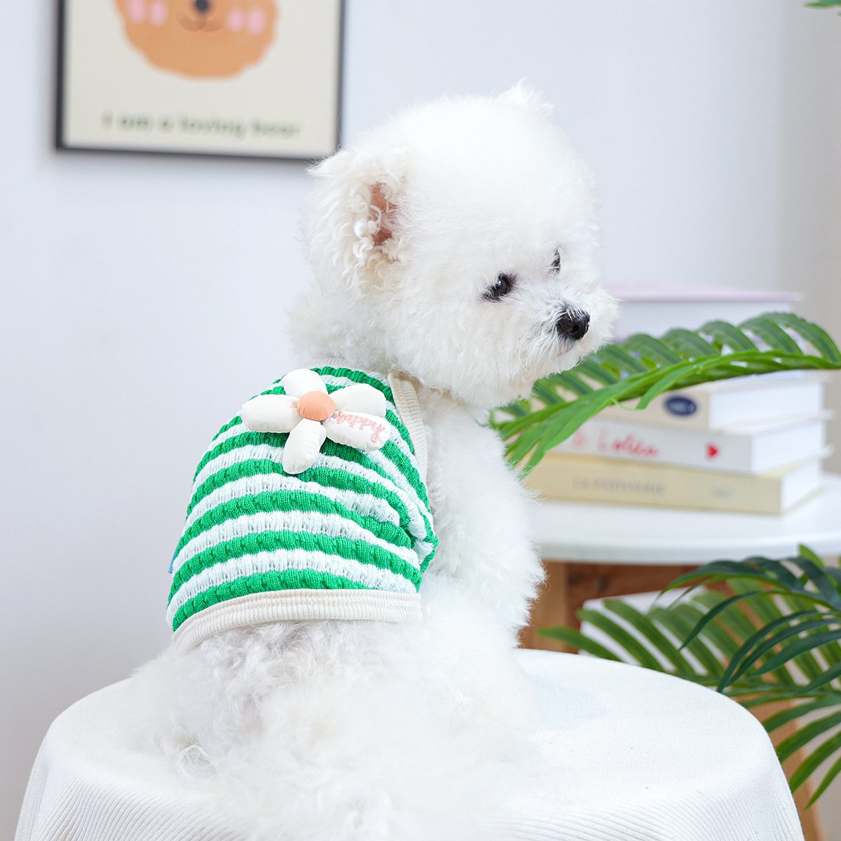 PETCIRCLE Dog & Cat Comfort Bora Bora Palm Small Dog