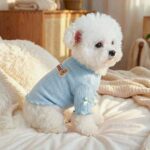 Knit Pet Sweater with Bear & Letter Graphic for Small Dogs